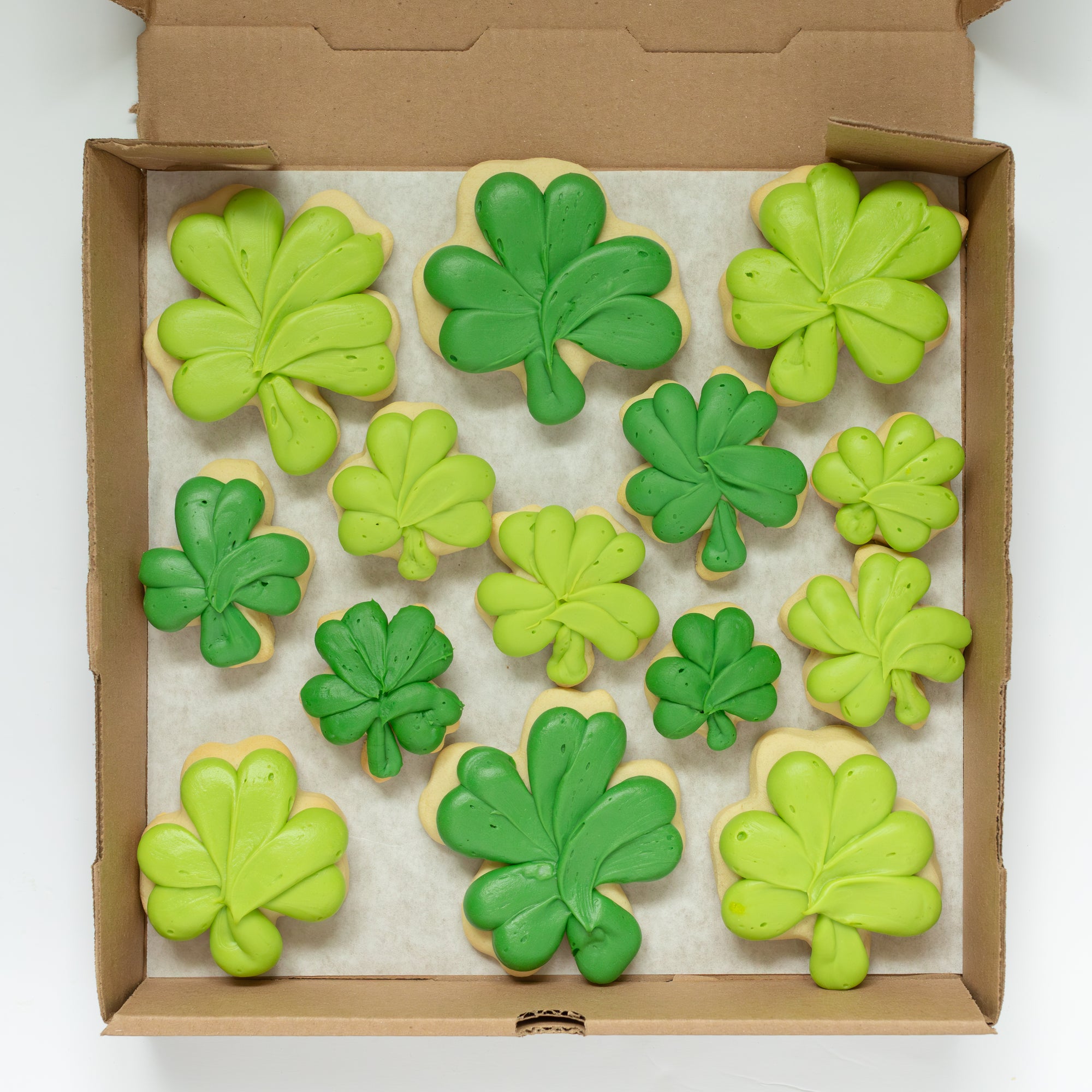 Shamrock Party Box (6 BIG & 8 MINI)