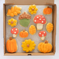 Fall Party Box (6 BIG & 8 MINI Sugar cookies)