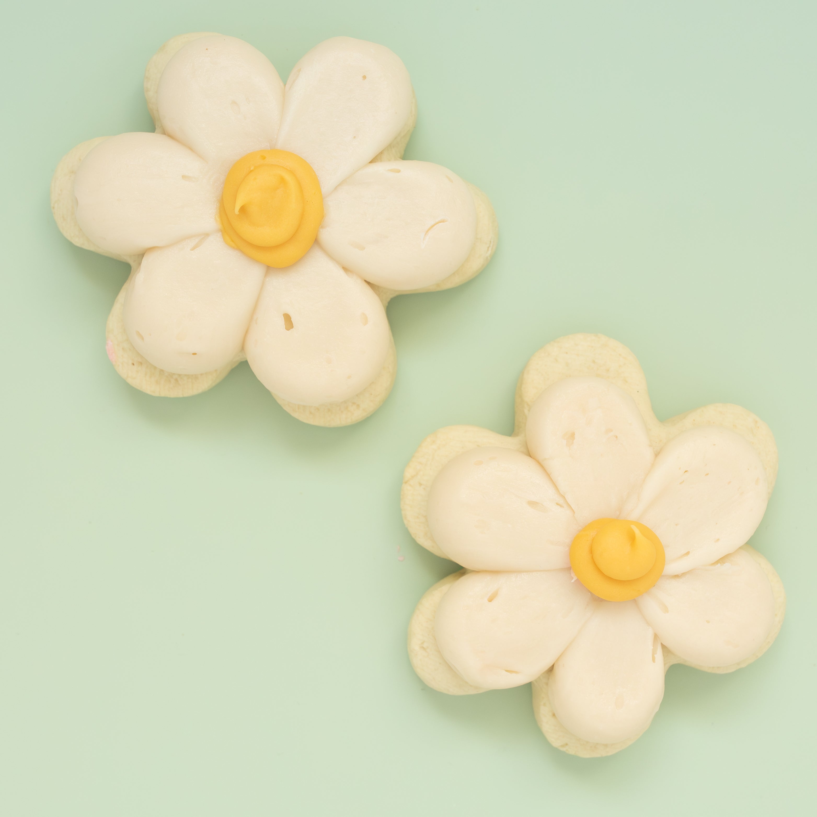 Floral BIG Sugar Cookies (1 Dozen)