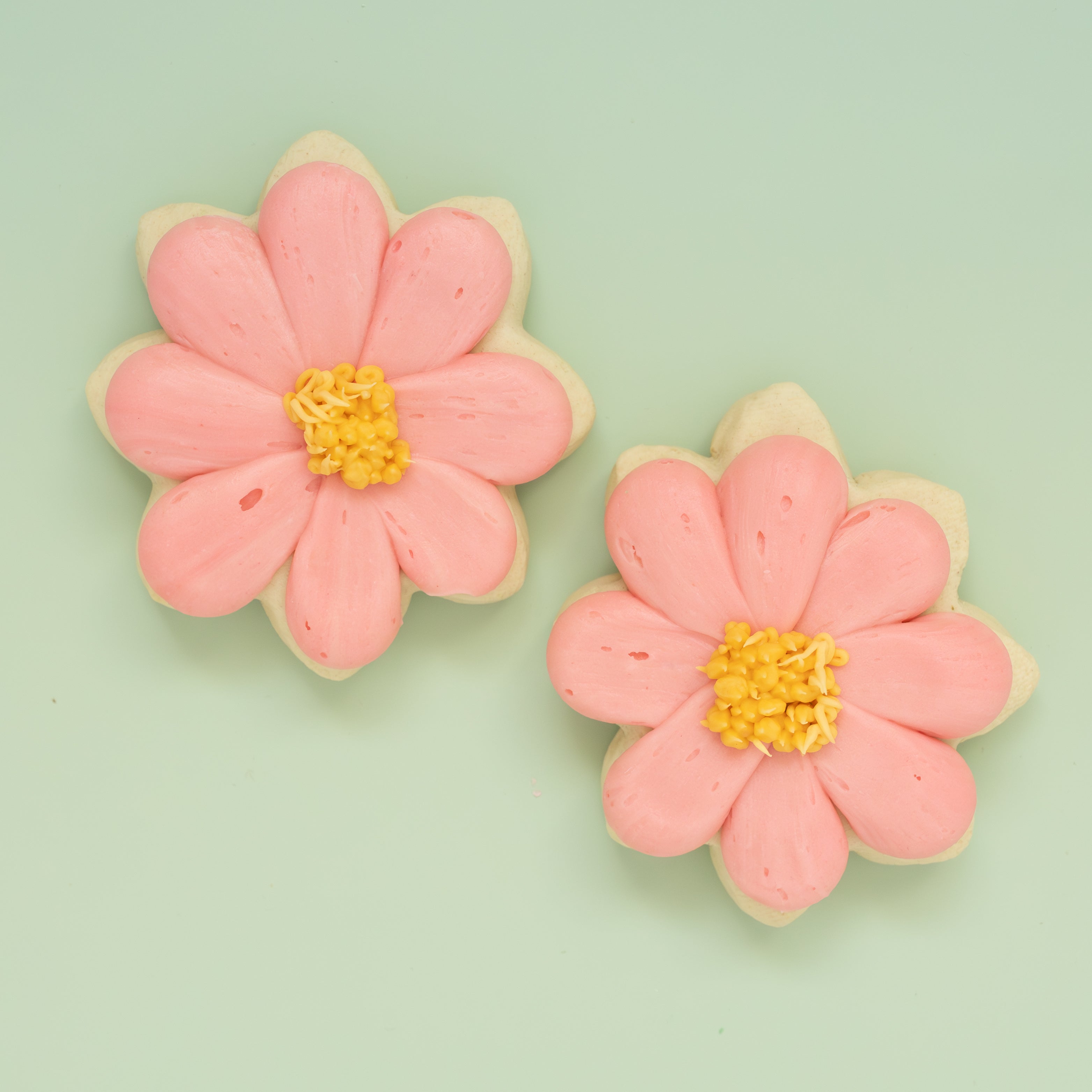 Floral BIG Sugar Cookies (1 Dozen)