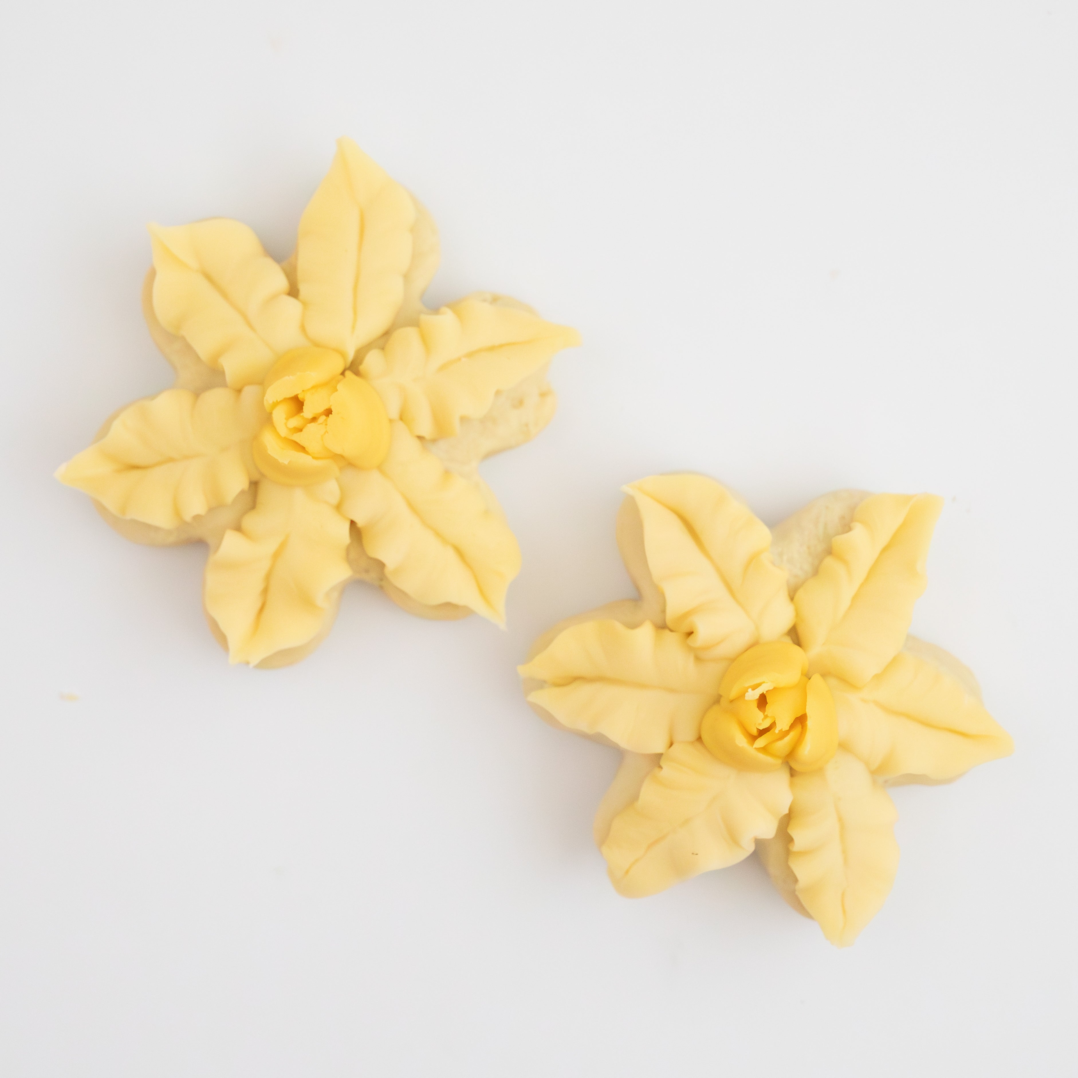 Spring Floral BIG Sugar Cookies (1 Dozen)