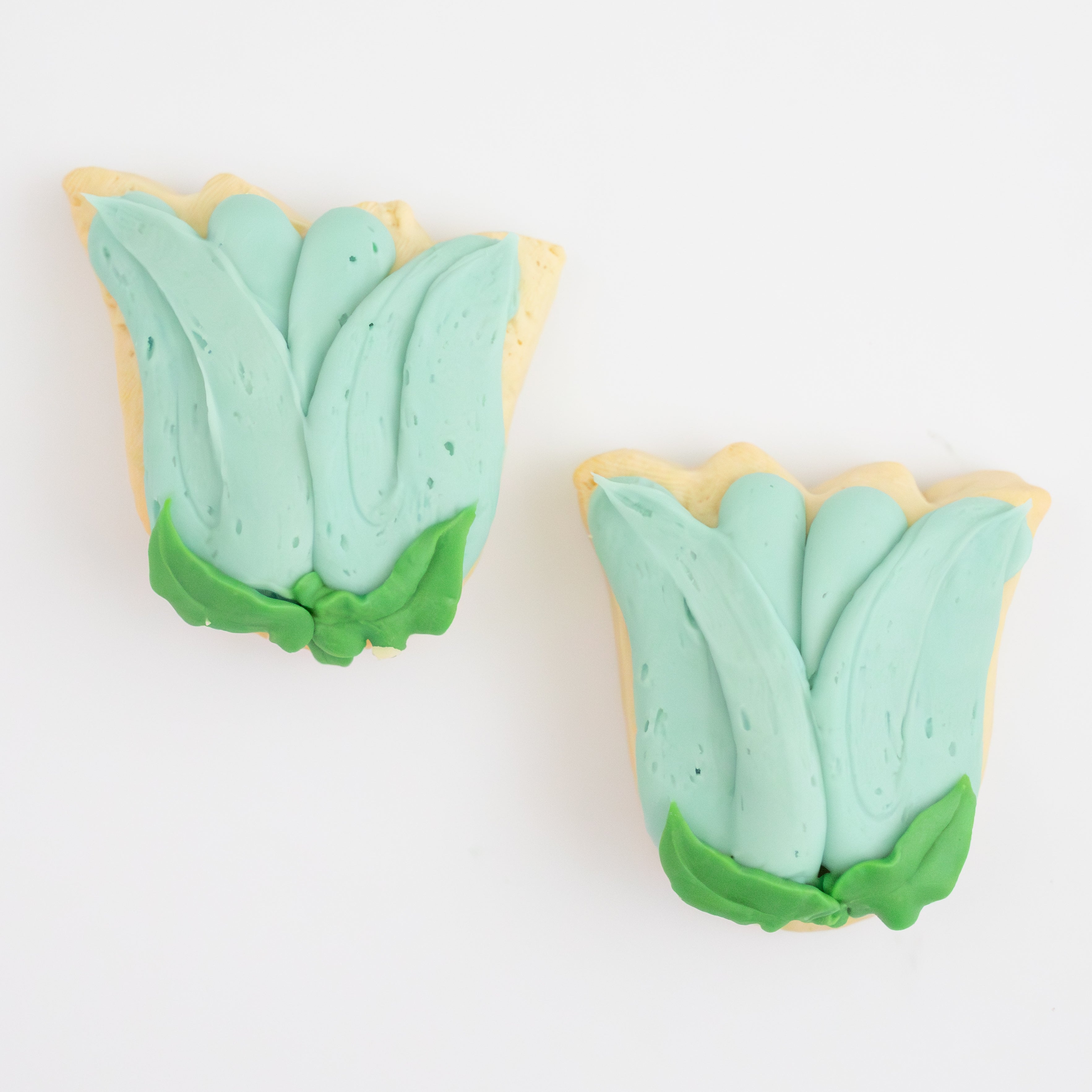 Spring Floral BIG Sugar Cookies (1 Dozen)